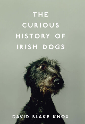 The Curious History of Irish Dogs