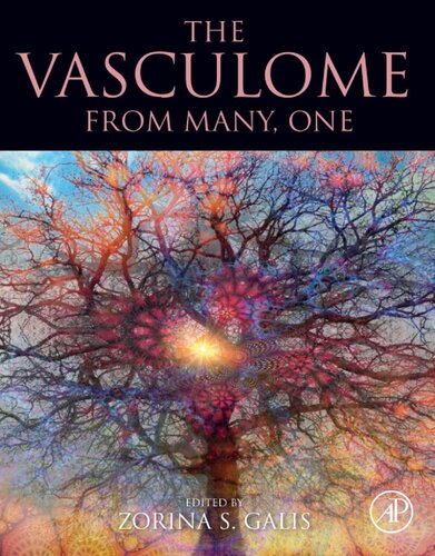 The Vasculome: From Many, One