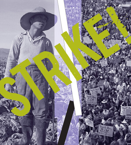 Strike!: The Farm Workers' Fight for Their Rights