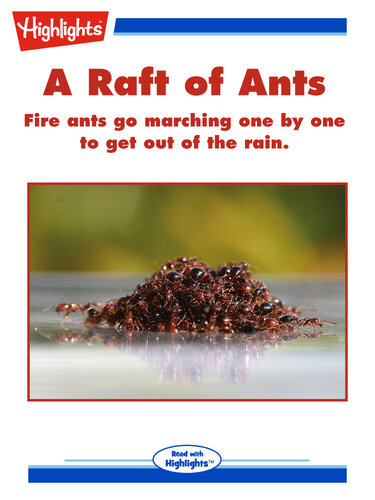 A Raft of Ants