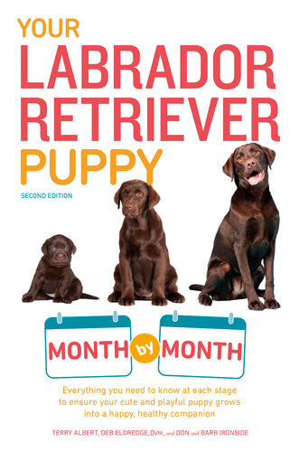 Your Labrador Retriever Puppy Month by Month: Everything You Need to Know at Each Stage of Development