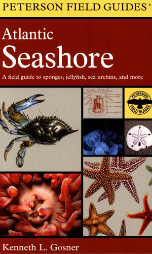 Atlantic Seashore: A Field Guide to Sponges, Jellyfish, Sea Urchins, and More