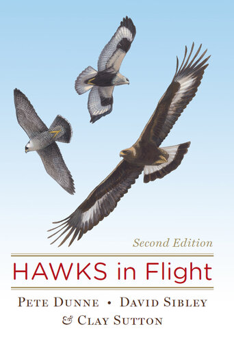 Hawks In Flight