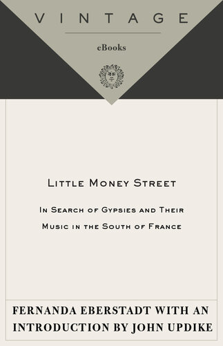 Little Money Street: In Search of Gypsies and Their Music in the South of France