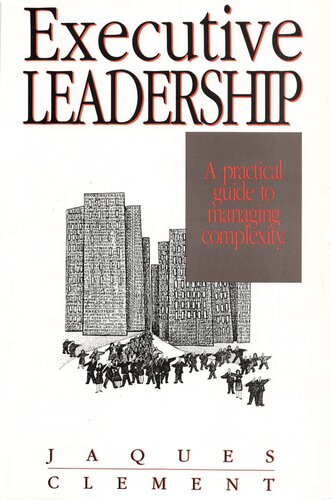 Executive Leadership: A Practical Guide to Managing Complexity