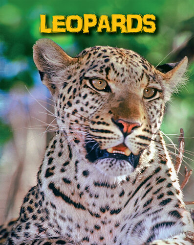 Leopards