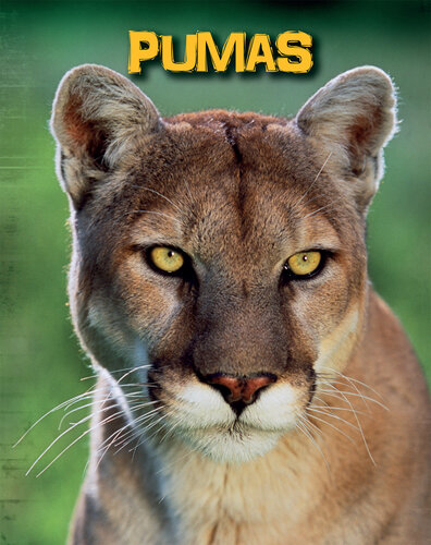Pumas