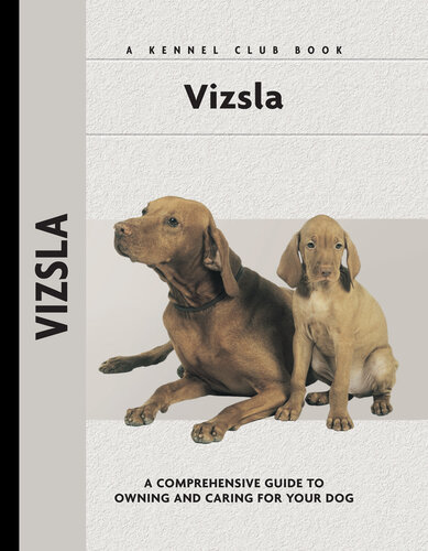 Vizsla