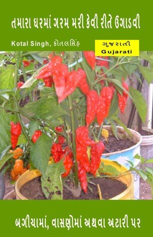 તમારા ઘરમાં ગરમ મરી કેવી રીતે ઉગાડવી. બગીચામાં, વાસણોમાં અથવા અટારી પર.: કાર્બનિક બગીચા અને સારા ખોરાકને પસંદ કરનારાઓનો આ પ્રિય શોખ છે