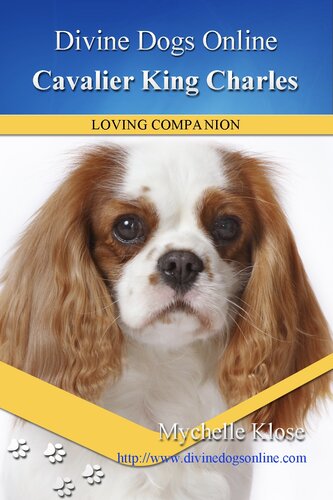 Cavalier King Charles Spaniel