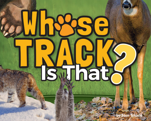 Whose Track Is That?