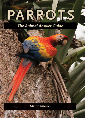 Parrots: The Animal Answer Guide