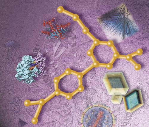 The Structures of Life