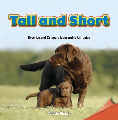 Tall and Short: Describe and Compare Measurable Attributes