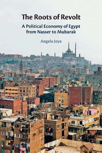 The Roots of Revolt: A Political Economy of Egypt from Nasser to Mubarak