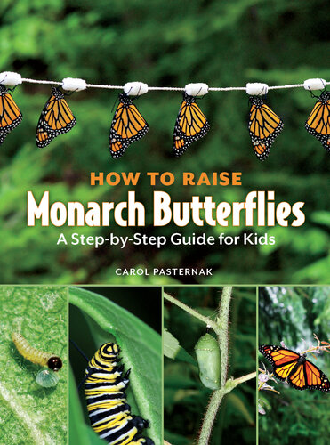 How to Raise Monarch Butterflies: A Step-By-Step Guide for Kids