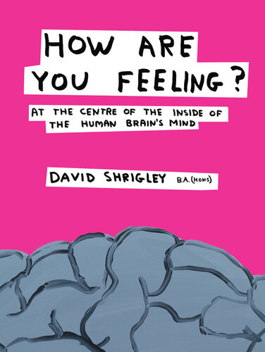 How Are You Feeling?: At the Centre of the Inside of the Human Brain's Mind