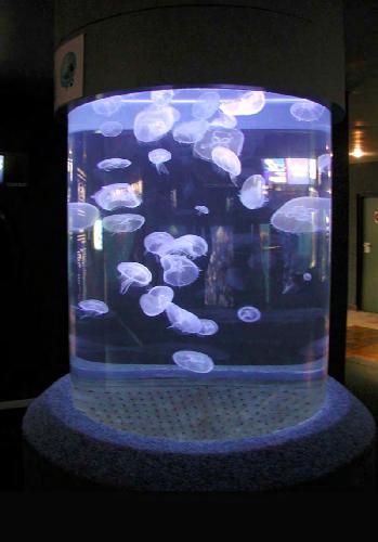 Underwater Photography (February/March 2003)