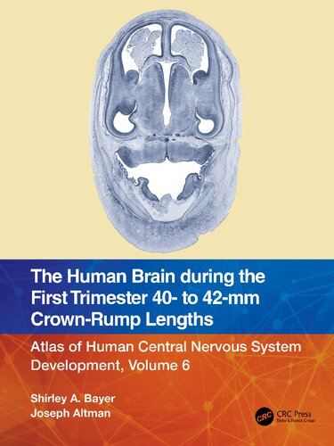 The Human Brain during the First Trimester 40- to 42-mm Crown-Rump Lengths: Atlas of Human Central Nervous System Development