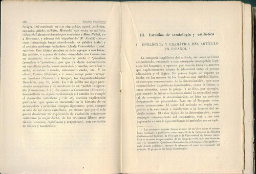 Estilística y gramática del artículo español
