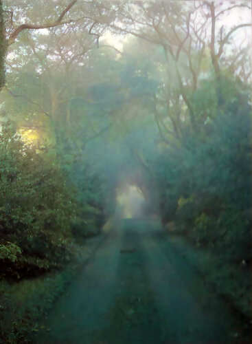 As Descobertas Médicas do Dr. Edward Bach