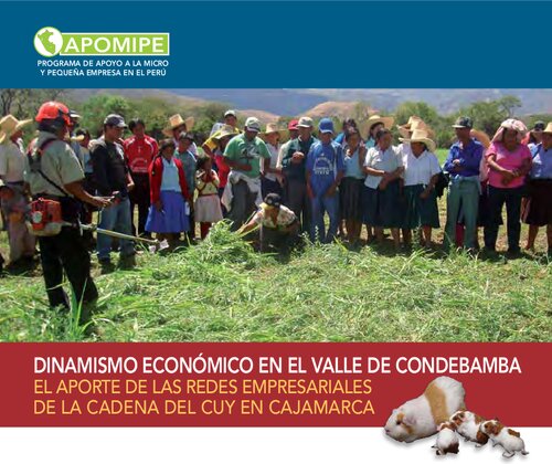 Dinamismo económico en el valle de Condebamba (Cajabamba, Cajamarca). El aporte de las redes empresariales de la cadena del cuy (Cavia spp.) en Cajamarca