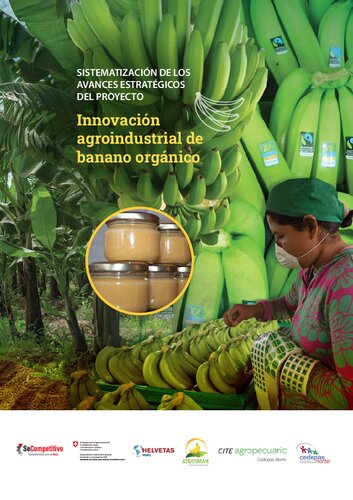 Innovación agroindustrial de banano orgánico. Sistematización de los avances estratégicos del proyecto