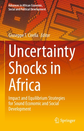 Uncertainty Shocks in Africa: Impact and Equilibrium Strategies for Sound Economic and Social Development