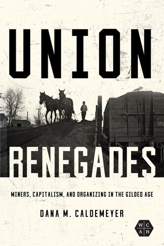 Union Renegades: Miners, Capitalism, and Organizing in the Gilded Age