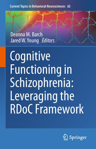 Cognitive Functioning in Schizophrenia: Leveraging the RDoC Framework