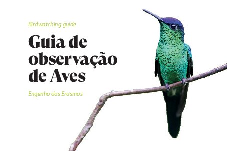 Guia de Observação de Aves – Engenho dos Erasmos