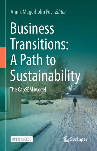 Business Transitions: A Path to Sustainability: The CapSEM Model