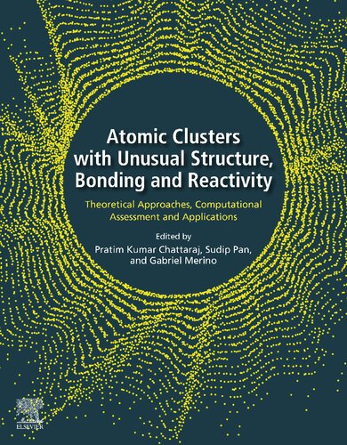 Atomic Clusters with Unusual Structure, Bonding and Reactivity: Theoretical Approaches, Computational Assessment and Applications