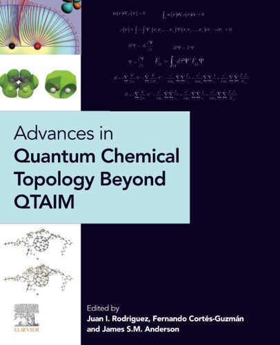 Advances in Quantum Chemical Topology Beyond QTAIM