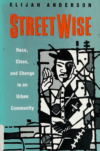 Streetwise: Race, Class, and Change in an Urban Community