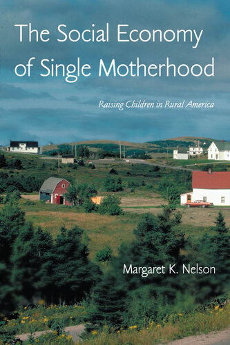 The Social Economy of Single Motherhood