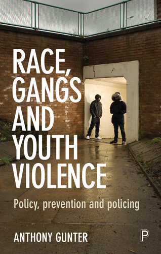 Race, Gangs and Youth Violence: Policy, Prevention and Policing