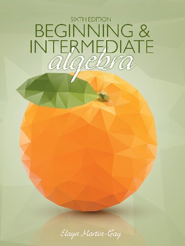 Beginning & Intermediate Algebra
