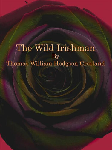 The Wild Irishman