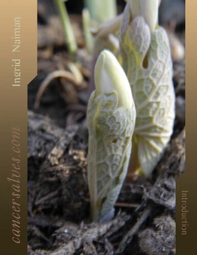 Hoxsey Cancer Salves: A Botanical Approach to Treatment