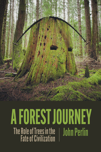 A Forest Journey: The Role of Trees in the Fate of Civilization