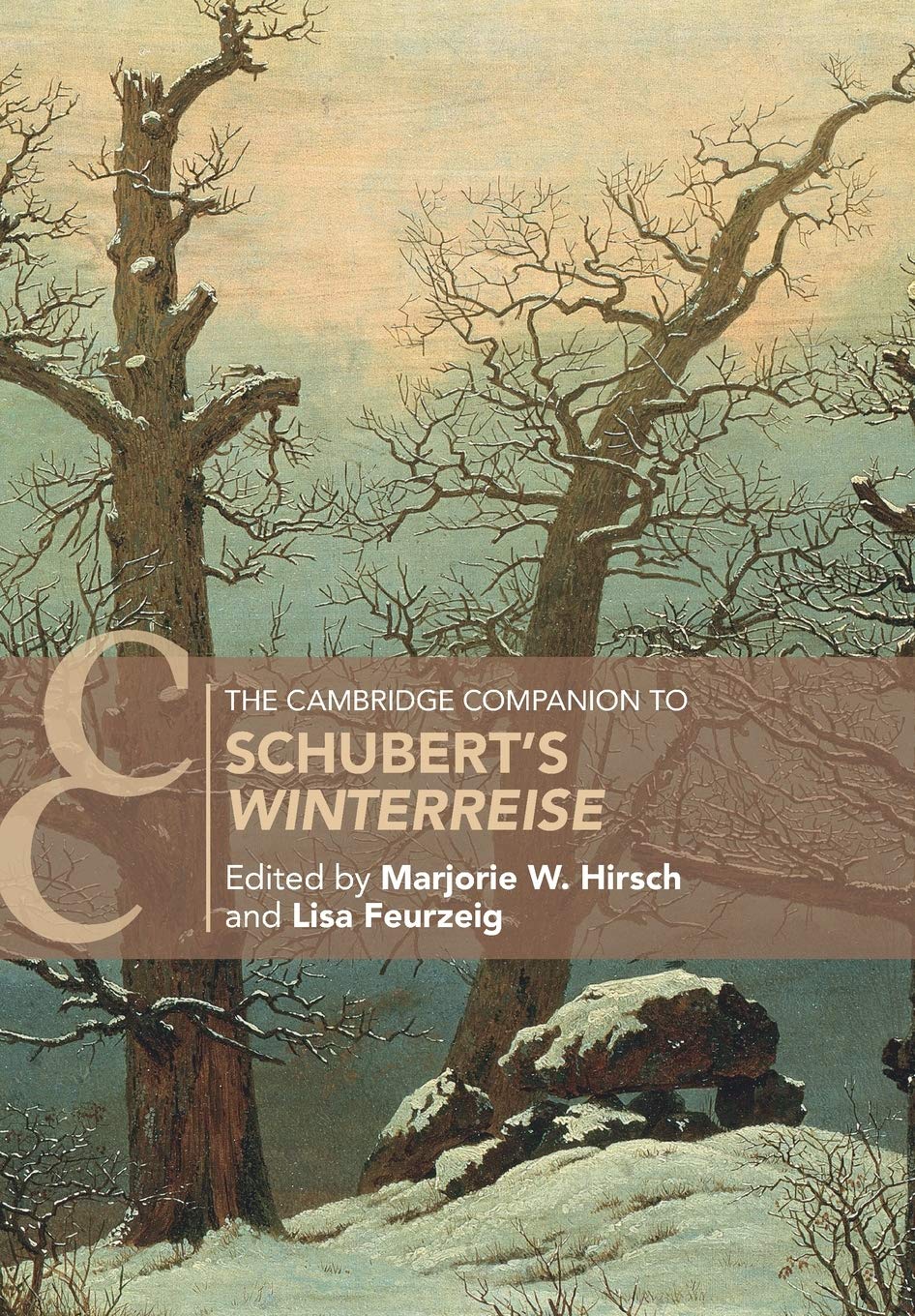 The Cambridge Companion to Schubert's ‘Winterreise'