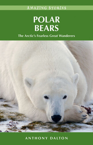 Polar Bears: The Arctic's Fearless Great Wanderers