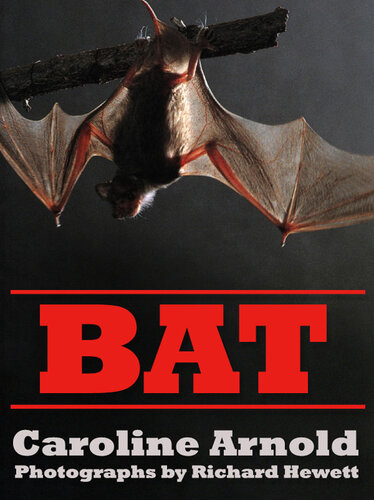 Bat