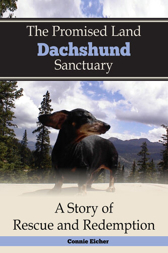 The Promised Land Dachshund Sanctaury: A Story of Rescue and Redemption