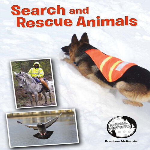 Search and Rescue Animals