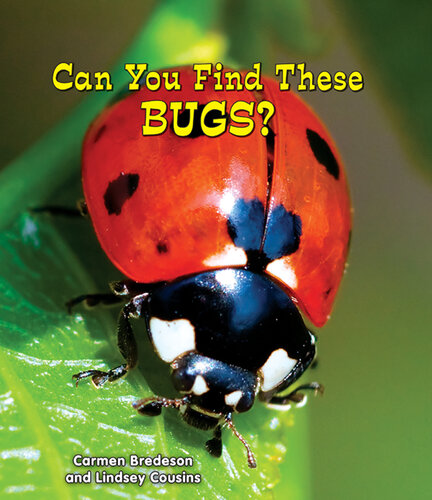 Can You Find These Bugs?