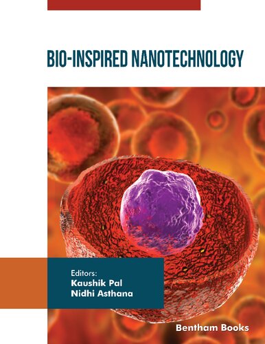 Bio-Inspired Nanotechnology