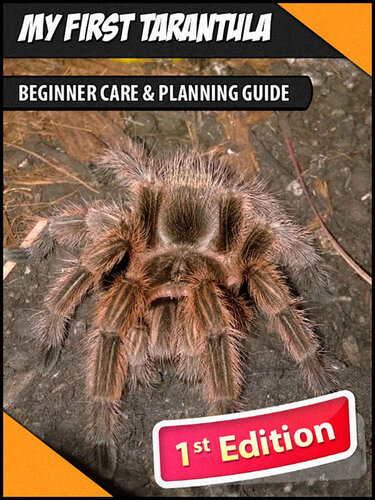 My First Tarantula: Beginner Care & Planning Guide