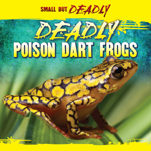 Deadly Poison Dart Frogs